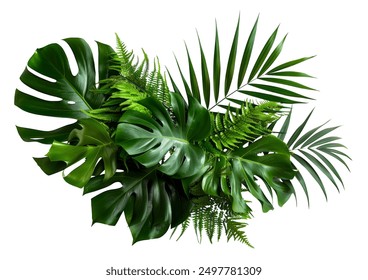 Green leaves of tropical plants bush (Monstera, palm, rubber plant, pine, bird’s nest fern) floral arrangement indoors garden nature backdrop isolated on white background thailand, clipping path.