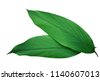 turmeric leaf