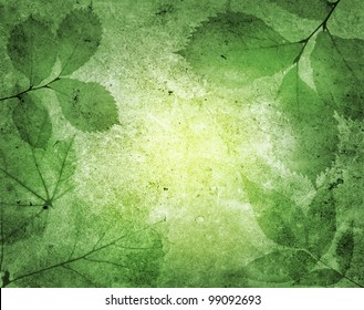Green Leaves With Vintage Background