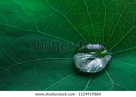 Similar – Image, Stock Photo moss fingers Fingers Hand