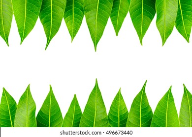 Similar Images Stock Photos Vectors Of Garland Of Mango Leaves