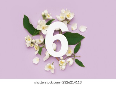 Green leaves and white flowers with paper number six on lilac background