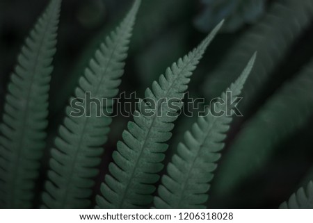 green leef  