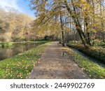 Green leisure park Bois des Reves with lake in Ottignie Louvain la Neuve, province of Walloon Brabant, Belgium