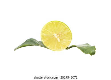 Green Lemons (lime) With Leaves Sour Taste. Lemon Fruit With Leaf Isolate. Lemon  Half, Slice, Leaves On White. Slices With Zest Isolated. With Clipping Path. Isolated On White Background.