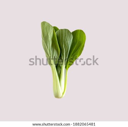 Green lettuce cantonese vegetables for diet salad isolated white background
