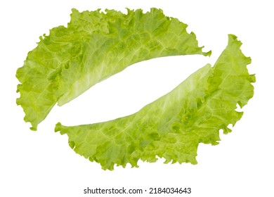 Green lettuce leaves isolated on white background. Lettuce leaves look like pasties. Cheburek vegan