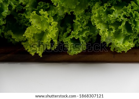 Similar – Image, Stock Photo Fresh leaf salad on a board with text space on the left