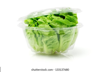 Download Salad Container Images Stock Photos Vectors Shutterstock PSD Mockup Templates