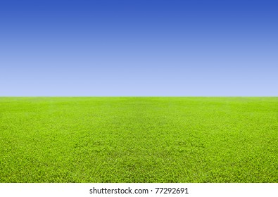 Green Level Field Blue Cloudless Sky Stock Photo 77292691 | Shutterstock