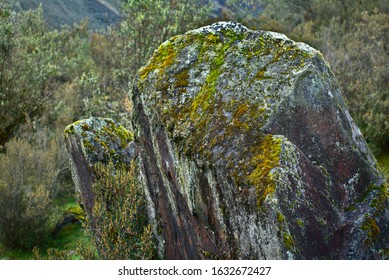 Green Lichen Covered Rock Of Huascarán National Park Peru