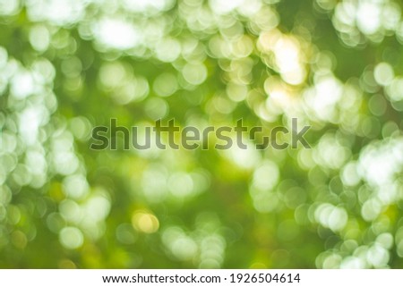 Green light bokeh nature background.Abstract blurred nature background with bokeh for creative designs.