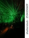 Green light installation in a bamboo garden with many people fascinated by the lights