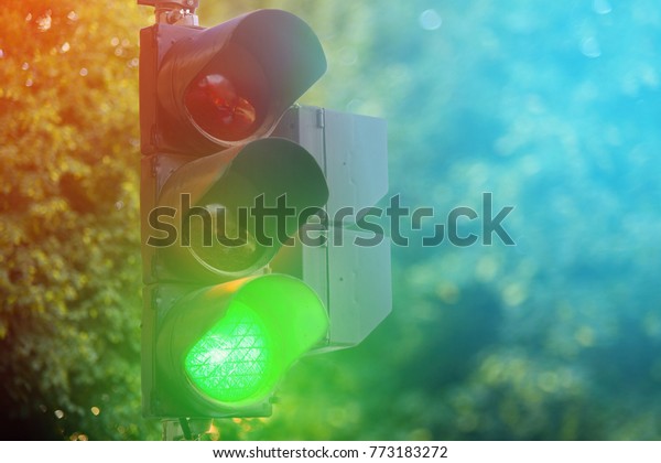 Green\
light of traffic lights control lamp in summer\
city