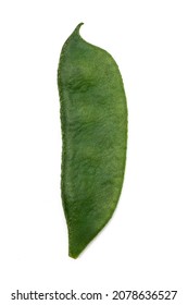 Green Lima Beans Or Hyacinth Beans Over On White Background