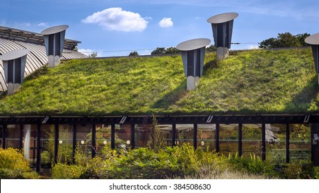 Green 'Living' Roof On Public City Library. Eco Friendly Building