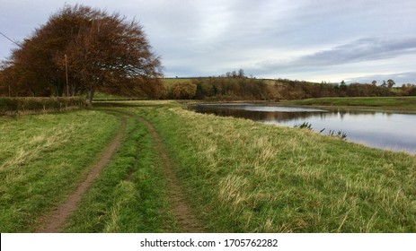 Green and lush countryside with a grass footpath by the river Tweed.