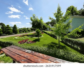 Green Lyuzhayaka in the forest is visible grass trees