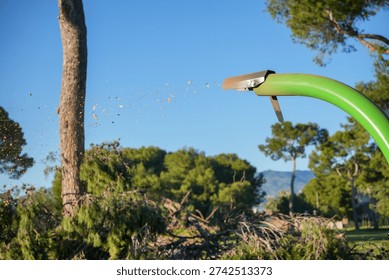 A green machine is cutting down trees. The machine is green and has a black blade. The trees are being cut down and the machine is spewing out wood chips. The sky is blue