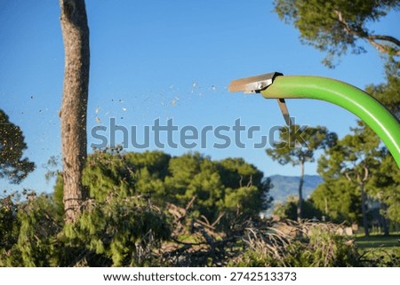A green machine is cutting down trees. The machine is green and has a black blade. The trees are being cut down and the machine is spewing out wood chips. The sky is blue