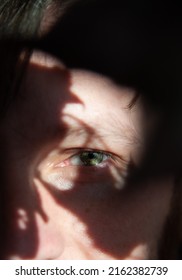 Green Male Eye In The Shadows Of The Leaves. Copy Space. Close-up