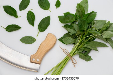 الطبخ المغربي الطحين المغربي Green-mallow-leaves-egyptian-vegetable-260nw-1732435079