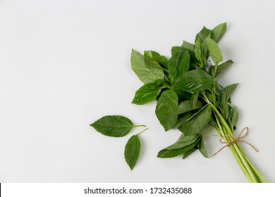 الطبخ المغربي الطحين المغربي Green-mallow-leaves-molokhia-egyptian-260nw-1732435088
