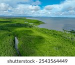 Green mangrove forest. Carbon sequestration and storage. Blue carbon ecosystem. Mitigation of climate change impacts. Mangrove tree capture CO2. Carbon offset. Carbon credits and trading programs.