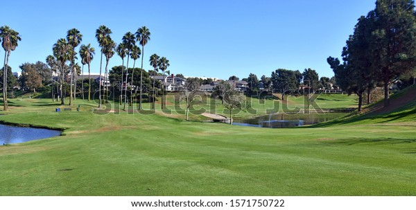 Green manicured fairway grass and rough of golf\
course with palm trees and\
water