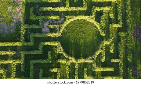 Green Maze From The Above