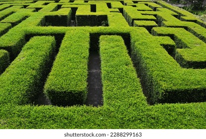 Green Maze, labyrinth, at coban rondo malang east of java 