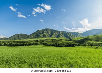 Green meadow against the backdrop of green hills. Blue sky with clouds.Journey into the wild.