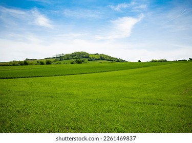 green meadow with blue sky in spring