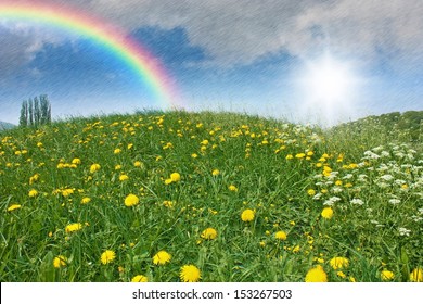 a green meadow with dandelion and april weather with sun, rain and a rainbow in the sky