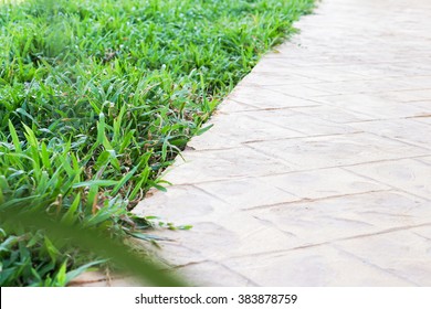 Green Meadow Divided By Rough Stone Walkway,Stamped Concrete