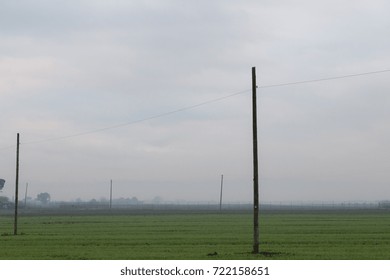 A green meadow in fall, with some old power lines and mist