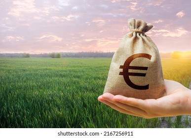 Green meadow field of young wheat and euro money bag. World food security crisis, high prices. World hunger. Grains cereals deficits. Starvation, famine. Agroindustry and the agricultural business.