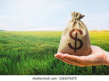 Green meadow field of young wheat and dollar money bag. World hunger. Grains cereals deficits. Starvation, famine. Agroindustry and the agricultural business. World food security crisis, high prices.