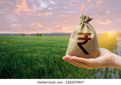 Green meadow field of young wheat and indian rupee money bag. World hunger. Grains cereals deficits. Starvation. Agroindustry and the agricultural business. World food security crisis, high prices.