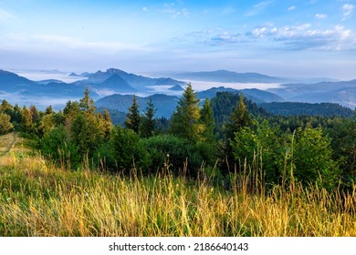 Green Meadow And Forest On The Hill At Sunrise, Mountains  In The Background. No People, Clear Sky, Some Clouds Fog Between Mountains