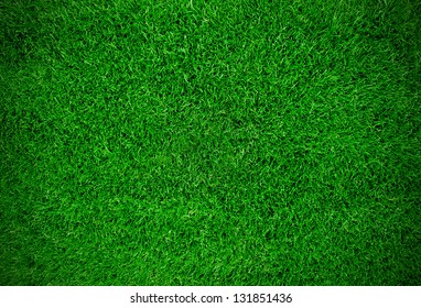 Green meadow grass field for football - Powered by Shutterstock