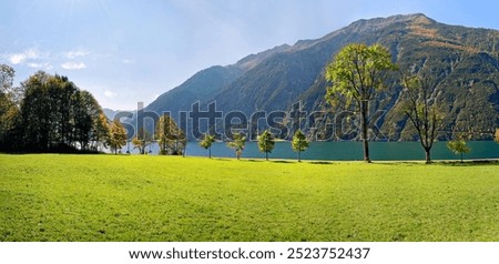 Similar – Image, Stock Photo Autumn-colored deciduous trees and a weeping willow on the banks of the Jacobiweiher in Frankfurt am Main