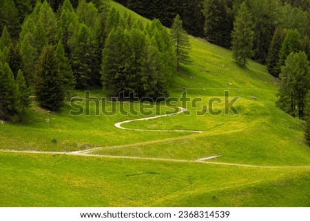 Similar – Foto Bild Coniferous forest in the alps