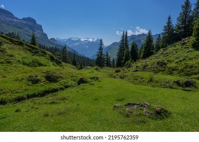 Green meadow in Obwalden canton