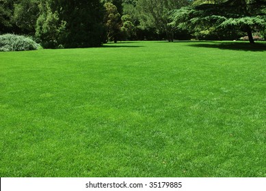 A green meadow in a park, ideal place for rest and party.