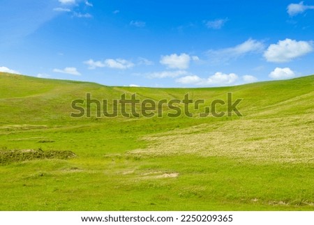Green meadow (pasture) on a hilly landscape.