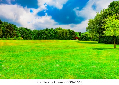 Green Meadow Surrounded By Trees Under Stock Photo 739364161 | Shutterstock