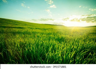 Green meadow under blue sky with clouds - Shutterstock ID 391571881