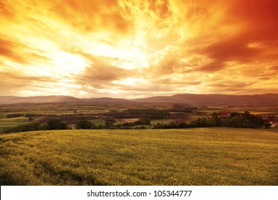 Green meadow under sunset sky with clouds - Powered by Shutterstock