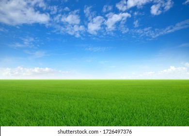 Green meadows with blue sky and clouds background.